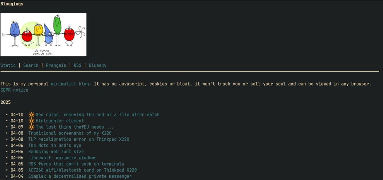 image of blog in W3M